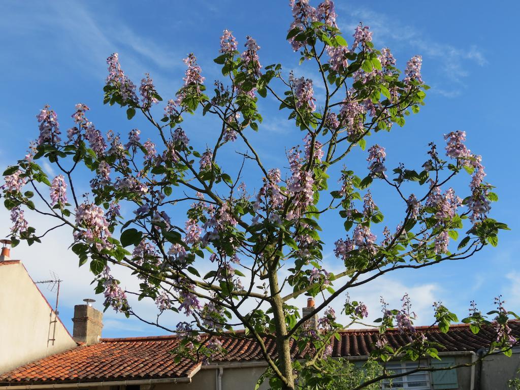 Saint-Aubin-la-Plaine L'Aubinoise B&B 외부 사진